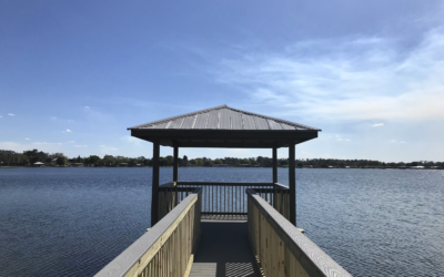 The Ultimate Guide to Buying Waterfront Homes in NE Florida